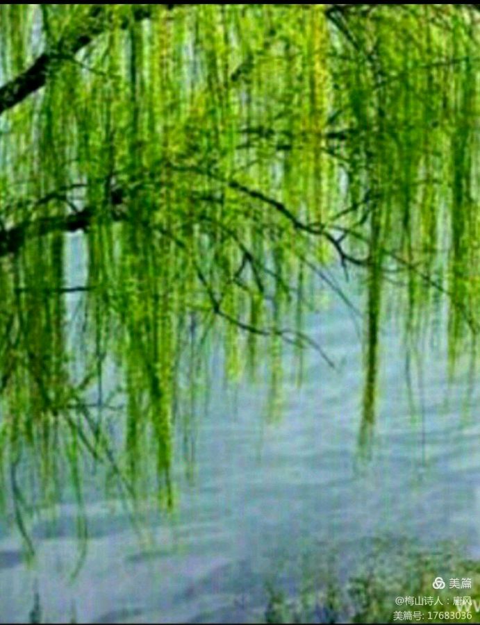 罗若安先生格律诗选（八首）（图6）