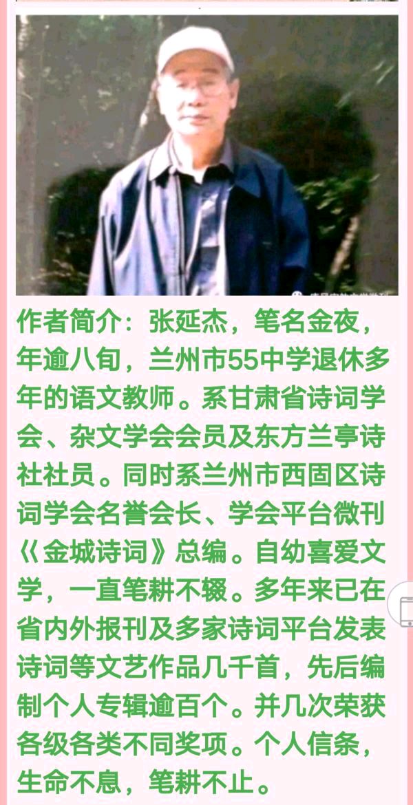 诉衷情*父亲节情思金夜（兰州）（图5）