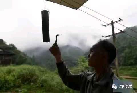 《现代诗人吴丽跃新品发表》作者:吴丽跃 诵读:临风省心 [中国现代诗歌文化传媒]（图7）