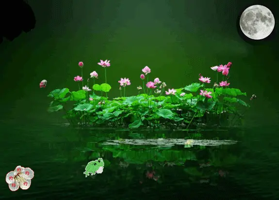 【神都诗社】龙门诗苑第015期《夏荷》（图5）