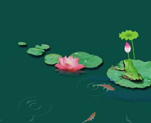 【神都诗社】龙门诗苑第015期《夏荷》（图7）