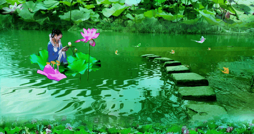 【神都诗社】龙门诗苑第015期《夏荷》（图13）