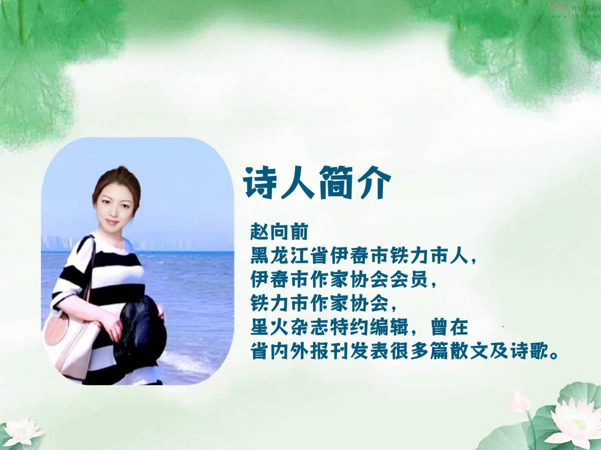 聆听 ‖ 白雪纷飞朗诵《夏花绚烂》作者/赵向前（图2）