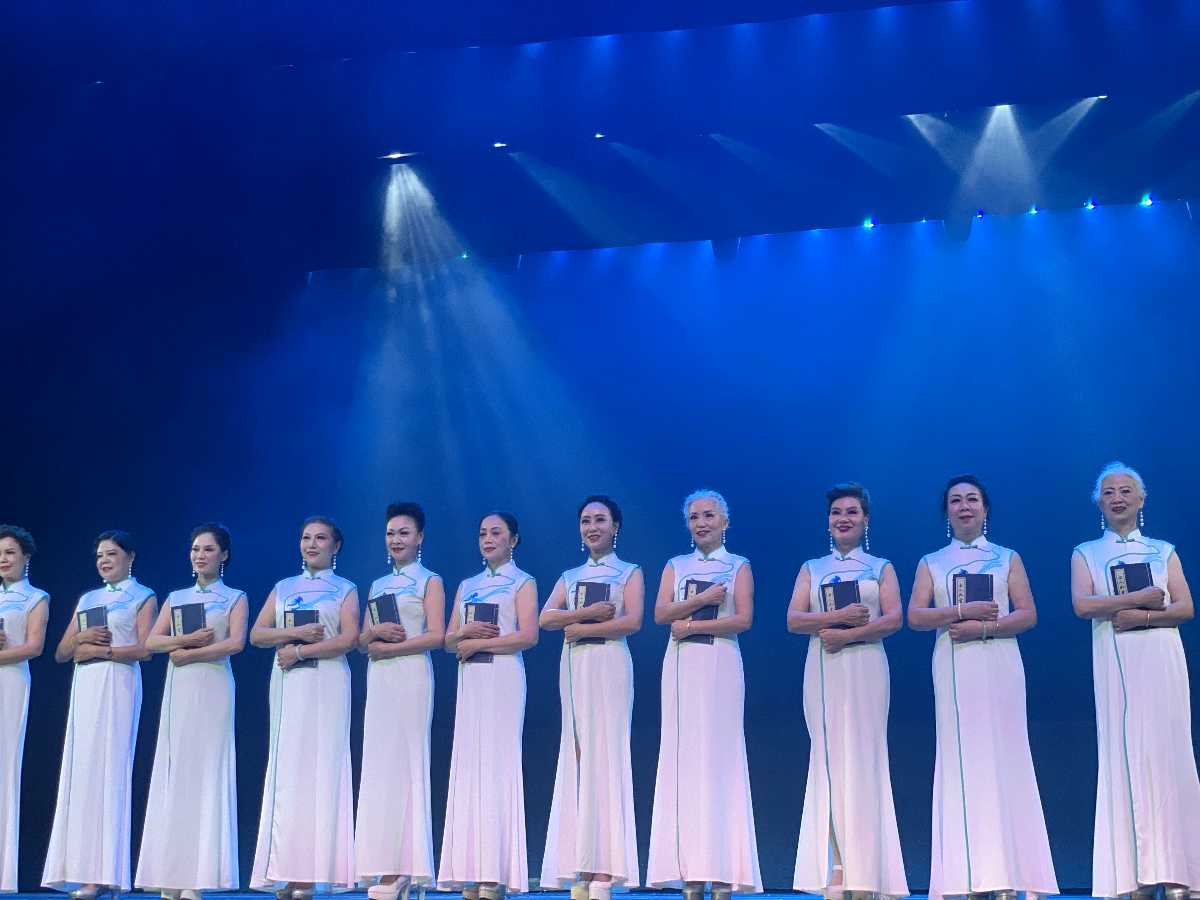 中国非遗民族服饰大赛（图4）