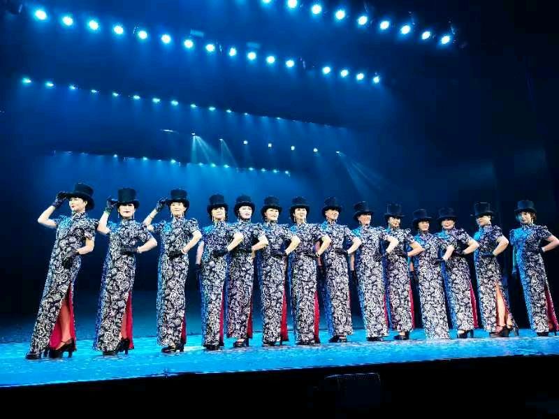 中国非遗民族服饰大赛（图13）