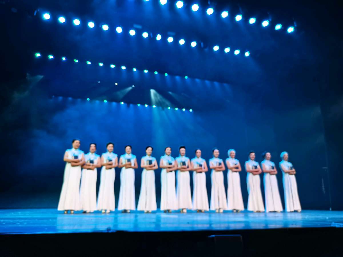 中国非遗民族服饰大赛（图11）