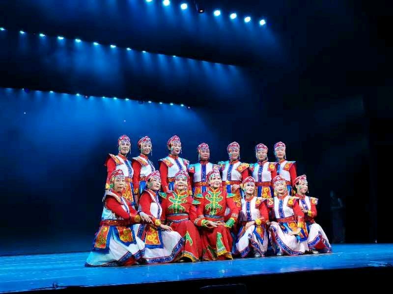 中国非遗民族服饰大赛（图10）