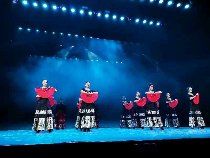 中国非遗民族服饰大赛（图15）