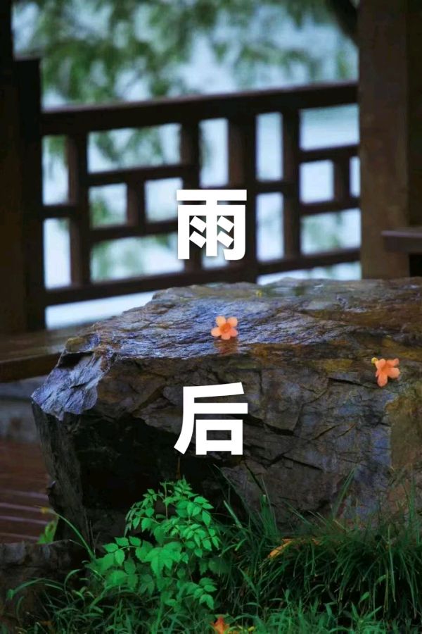 韩庚的《雨后十二首》