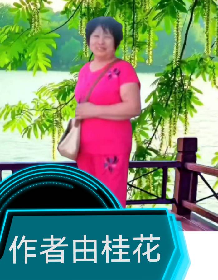 刘姥姥邂逅二进大观园(再续红楼梦新编)桂花飘香唯美精彩小说欣赏个人专辑∥中国桂林都市漓江诗书画社文学版总(第89期)(图9)