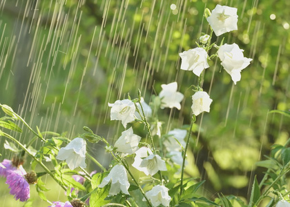【新山东文学社】《雨水的思索》作者/王建生 主播/红叶(图3)
