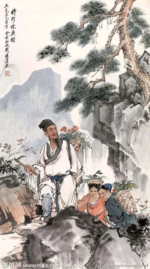 五言 · 采药/文 杨子钦（图3）