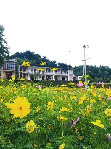 【新山东文学社】《俗尘未染小山村(八首)》作者/赵平 主播/苏宁(图3)