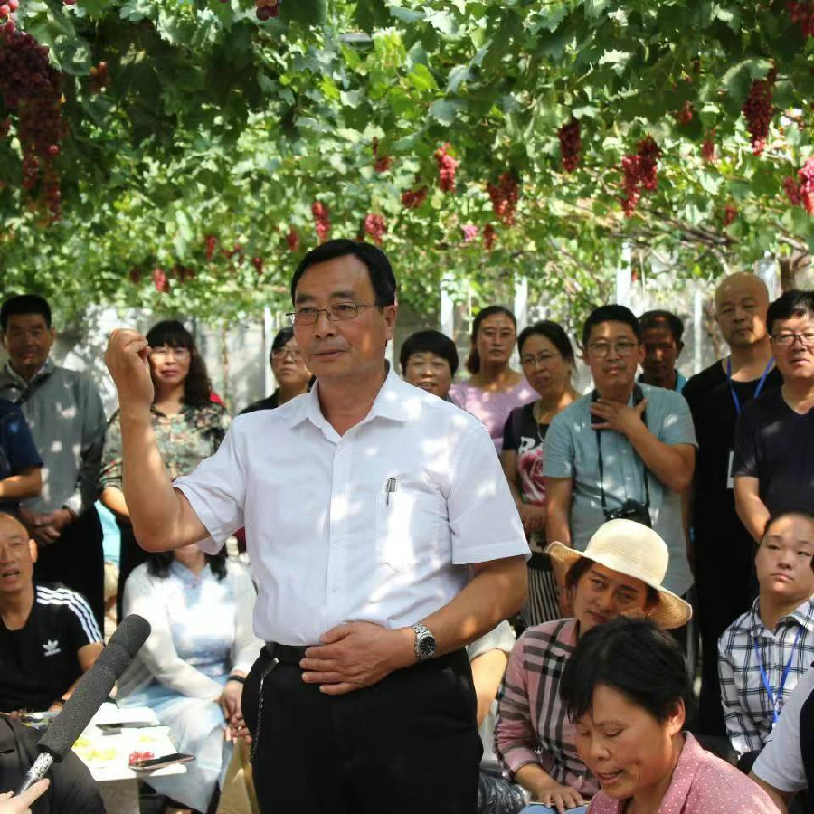 【新山东文学社】《鸢都潍坊市》作者/王连清 主播/鲁怡秀凤(图8)