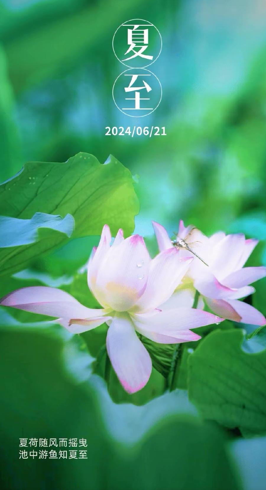 七律-夏至吟怀（组合）诗||于兴庆（图8）