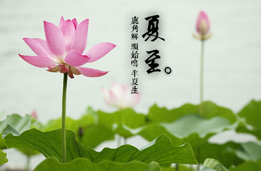 七律-夏至吟怀（组合）诗||于兴庆（图17）