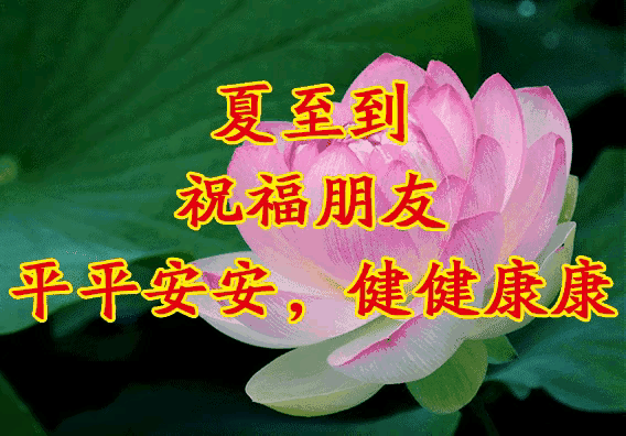 《郭小林现代古诗鉴赏》作者:郭小林 配乐:《诗画音乐》 [中国现代诗歌文化传媒]（图6）