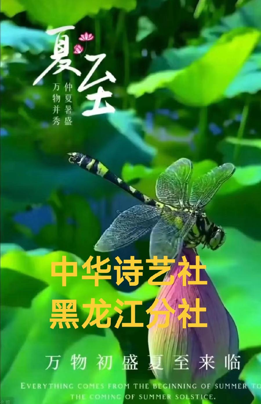 辉叔(许日辉):七绝《甲辰夏至节气感怀》十二首/中华诗艺社黑龙江分社推荐（图2）