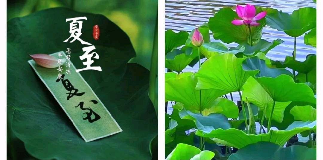 老杨老师诗词欣赏（图11）