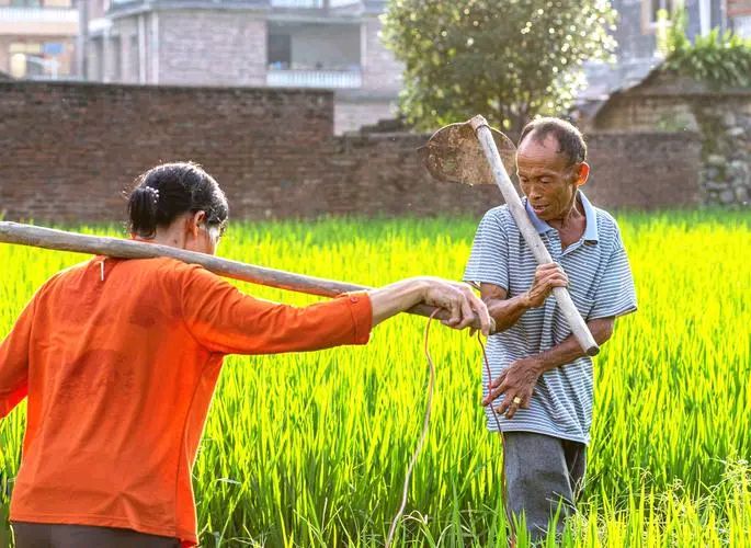 [歌曲]我似花非花的宝贝（图4）