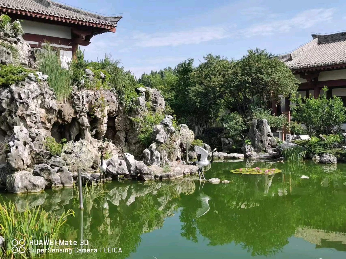 【经典推荐】杨武军//手机[二进盆景园有感]（图4）
