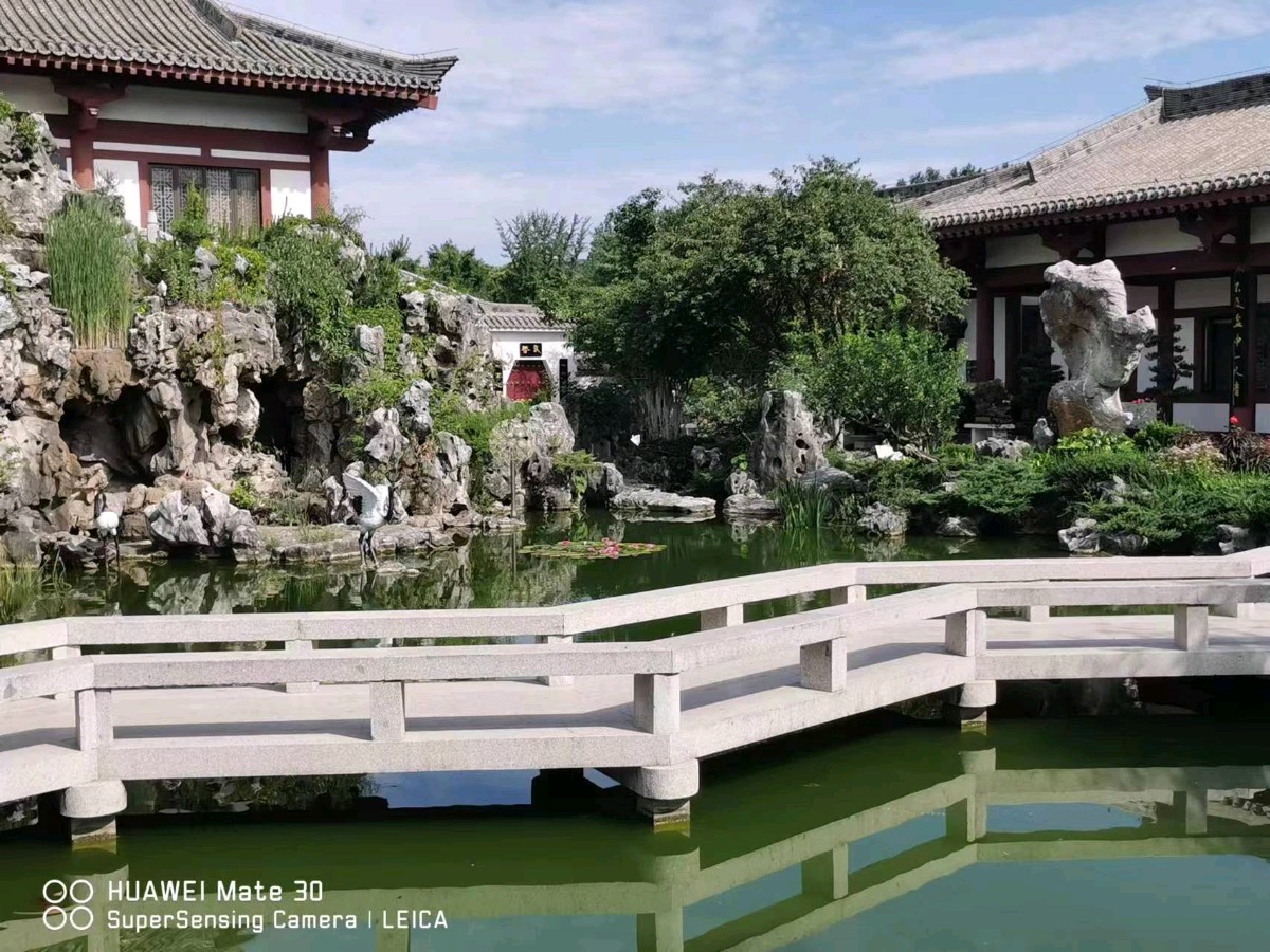 【经典推荐】杨武军//手机[二进盆景园有感]（图5）