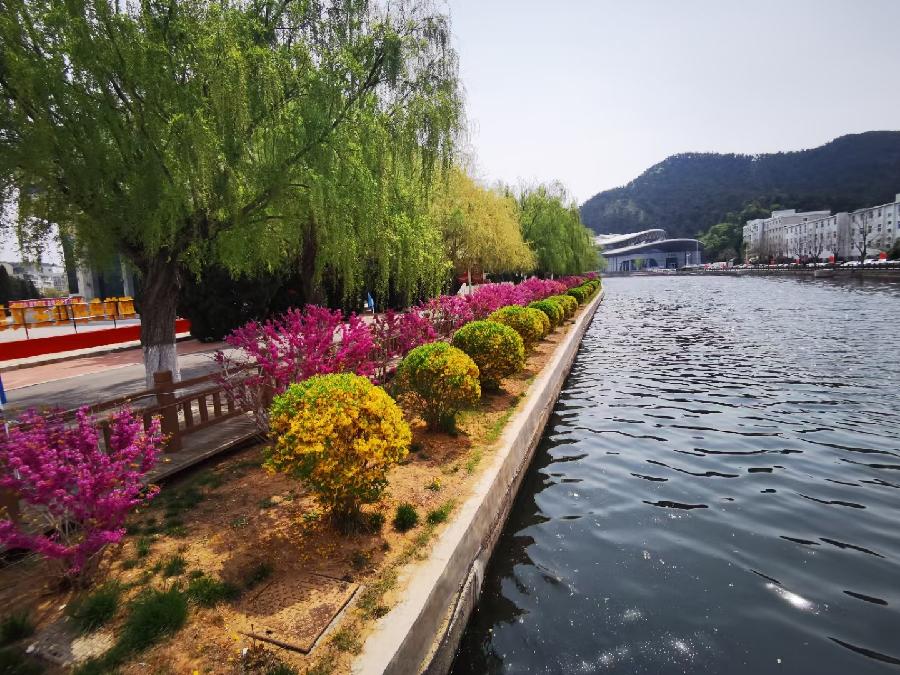 金蘭（沐馨）:原创春景抒怀21首/中华诗艺社黑龙江分社推荐（图18）