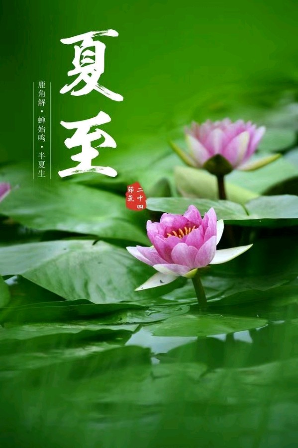 《九江文学社：北京头条》《甲辰夏至节气》专刊（图13）
