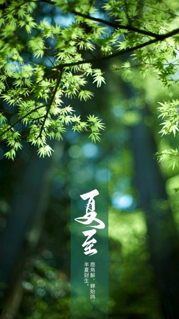 《九江文学社：北京头条》《甲辰夏至节气》专刊（图24）