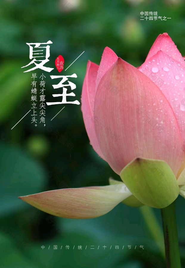 《九江文学社：北京头条》《甲辰夏至节气》专刊（图9）