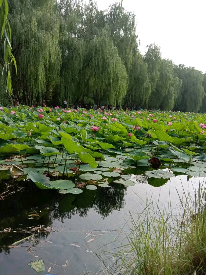 联机全球发布王铁忠作品欣赏（图7）