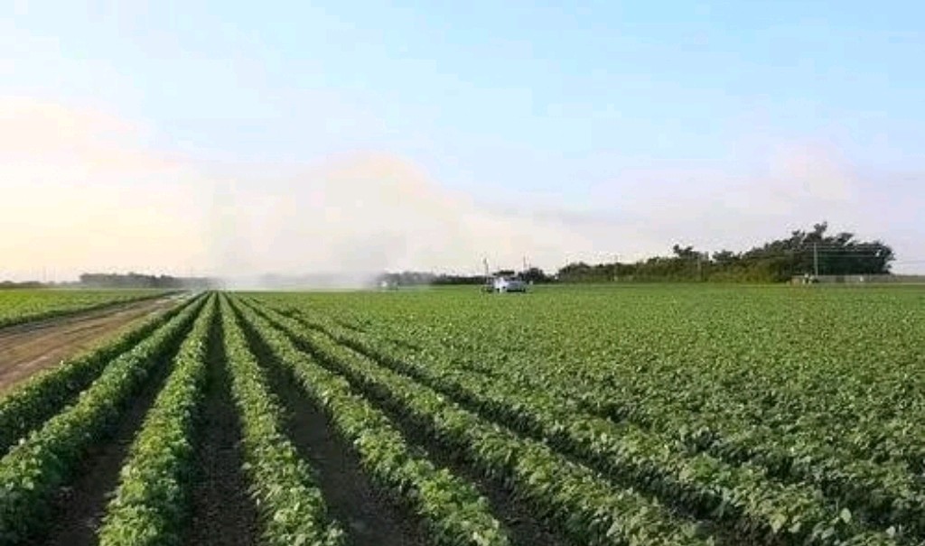 聆听 ‖ 泰山朗诵电影《有一个地方叫石河子》故事导读 编剧/闫成 配乐合成/弘华（图7）