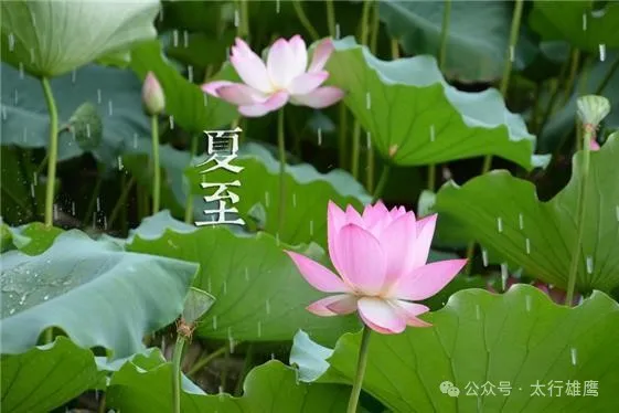 石家庄市藁城区诗词协会第四十九期同题诗《夏至》（图7）