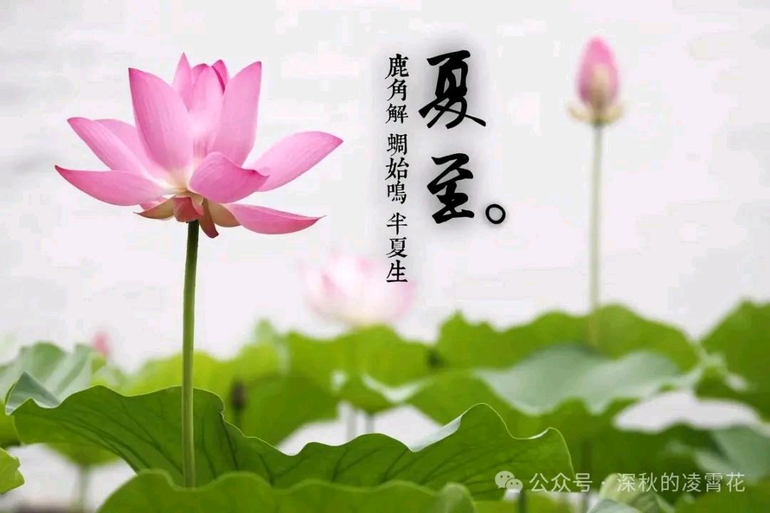 石家庄市藁城区诗词协会第四十九期同题诗《夏至》（图8）