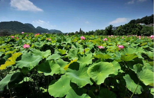 《现代诗人古诗赏析》作者:刘文波 配乐:《诗画音乐》 [中国现代诗歌文化传媒]（图6）