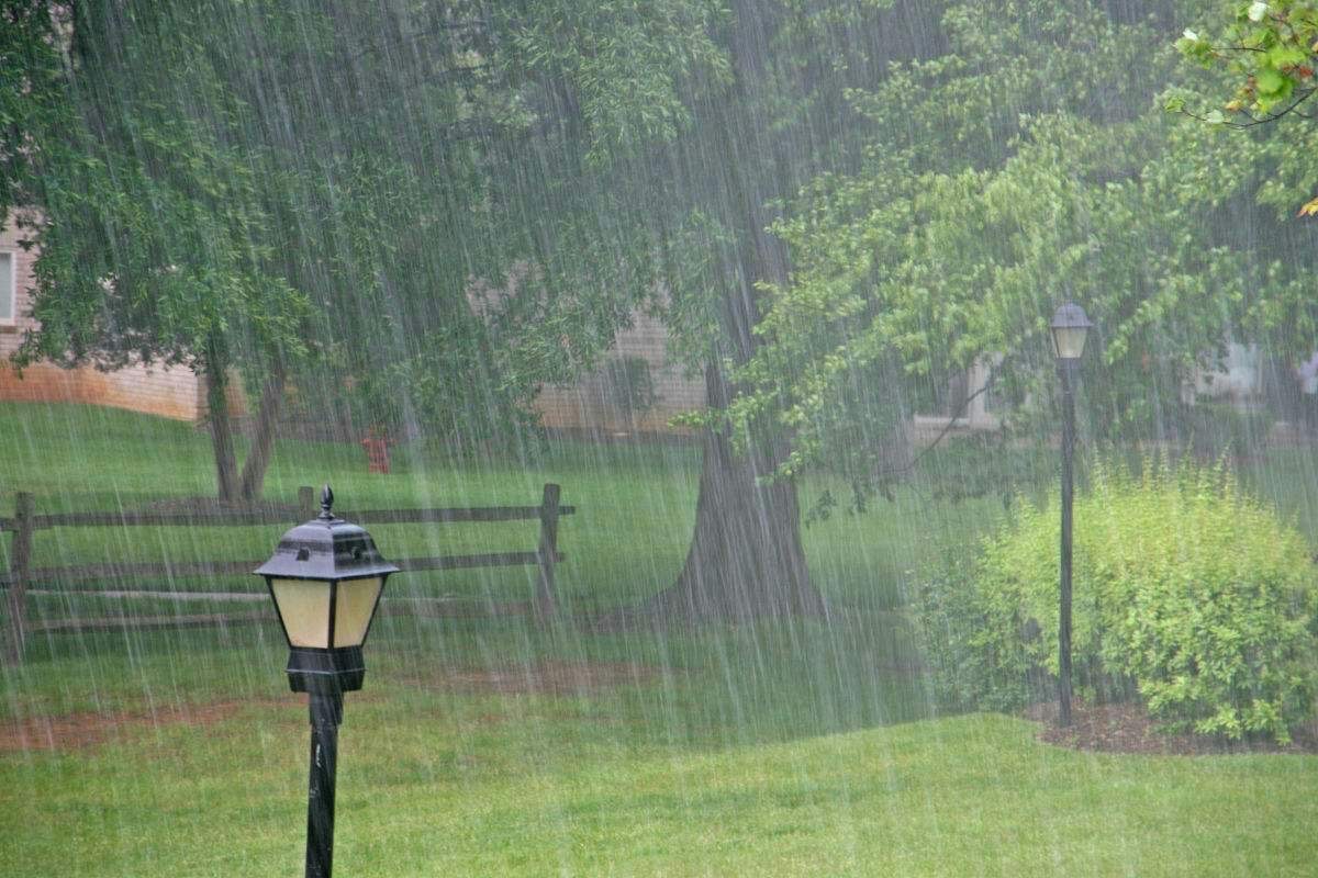 【新诗大观】昨晚又是骤雨||文/张道发