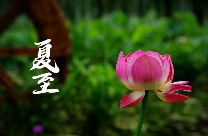 【新诗大观】甲辰夏至||文/谢爱民