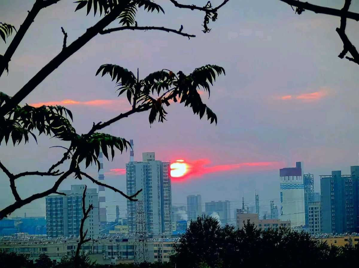 【重磅推出】鲁坡//亦师亦友慰今生[唯期赤子春长在]（图3）