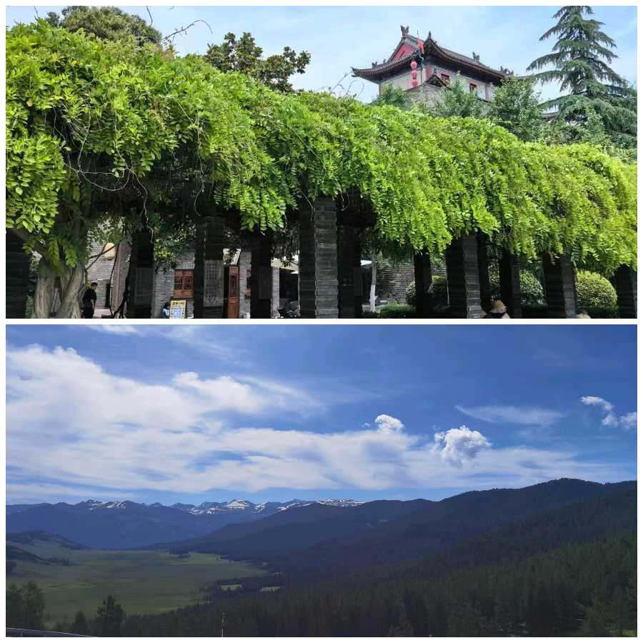 【重磅推出】鲁坡//亦师亦友慰今生[唯期赤子春长在]（图5）