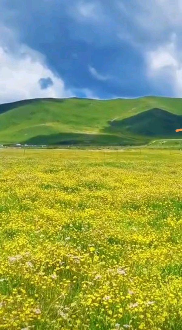 《塞北人间我的家》 文/蔡凤武（图5）