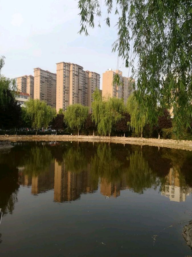 中国古今第一镇——虢镇行纪-作者/马有常 -西银/北京头条(图11)