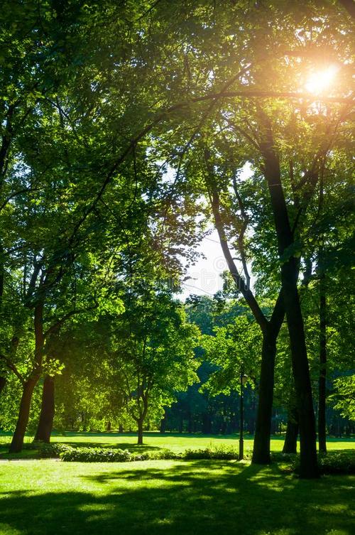 夏日抒怀/夏夕咏怀/夏日傍晚所见（文/孙述考）……莲叶之珠文学社（图3）