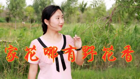 《花香四溢》作者:田歌 配乐:《诗画音乐》 [中国现代诗歌文化传媒]（图6）