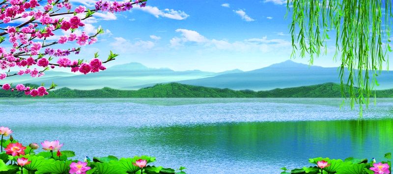 《夏之美》作者/张福君 编辑制作/雨杉【花雨馨声】第659期(图3)