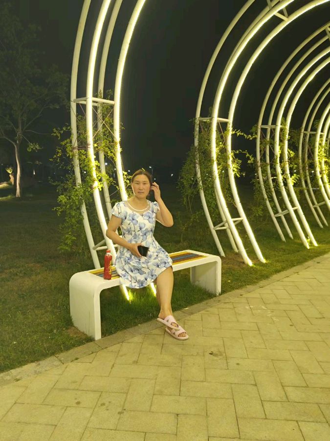 仲夏夜漫步洛阳伊滨中央公园 原作/梁立锋（图2）