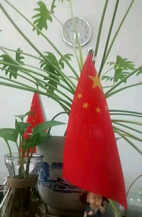 【诗生活】山贼新诗专辑：夏花，旧梦（图2）
