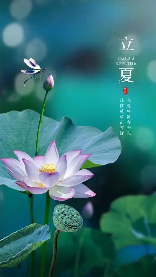 欣赏唐增虎老师七绝.立夏（图2）