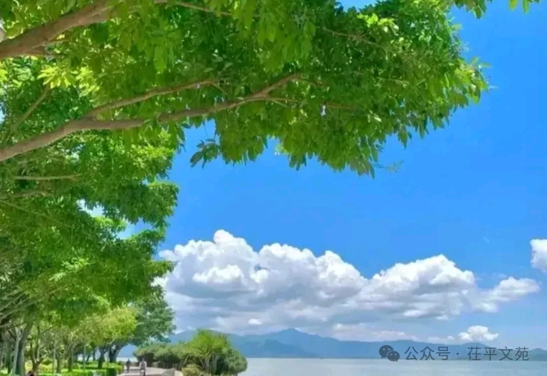 【茌山诗苑】山东平阴侯家赋‖盛夏感怀