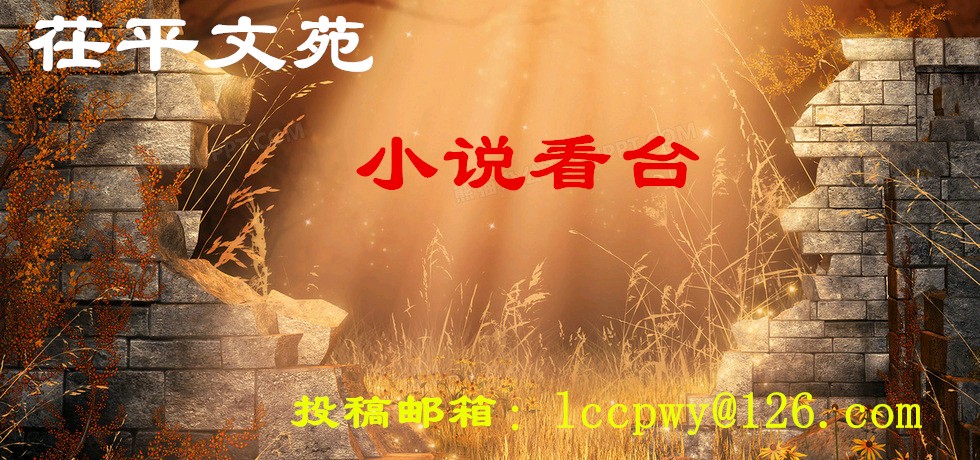 【长篇连载】山东李洪君‖‖《何处是家乡》(图4)