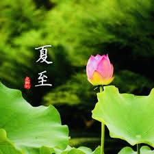 【海外诗译】精品双语朗诵《夏至小诗三首》作者｜郑相豪、英译｜静好、审译&朗诵｜薇薇（图4）